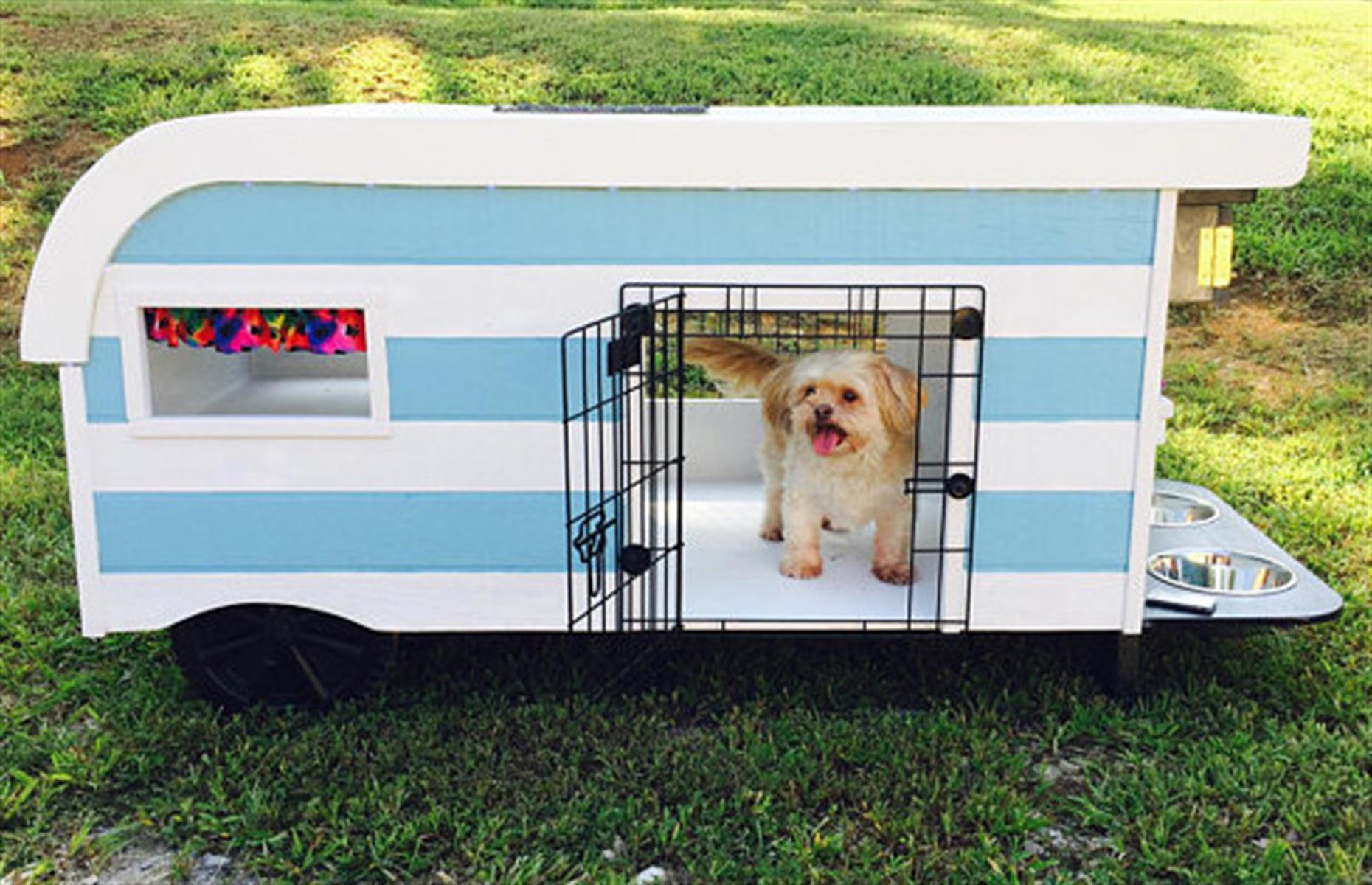 Mini campervan para perros 